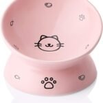 Ceramic Raised Cat Bowls, Slanted Cat Dish Food or Water Bowls, Elevated Porcelain Pet Feeder Bowl Protect Cat's Spine, Stress Free, Backflow Prevention (Pink)