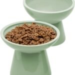 2 Elevated Ceramic Cat Bowls Extra Wide for Food & Water – Whisker Fatigue Shallow Food Dish, Lead & Cadmium-Free, Raised Height for Cats, Sage Green