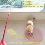 Cat Toys for Indoor Cats, Interactive Cat Toy 2PCS Retractable Wand Toy and 9PCS Cat Feather Toys Refills, Funny Kitten Toys Cat Fishing Pole Toy for Bored Indoor Cats Chase and Exercise - Image 2