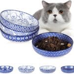 Ceramic Cat Food Bowl Set of 4, 5.6 Inch Wide Shallow Cat Bowls/Dishes for Food and Water, Vintage Blue