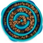 Fun Feeder Slo Bowl – Medium 2‑Cup Capacity, Slow Feeding, Small to Medium Dogs & Cats, Non-Slip, Turquoise, Drop Pattern