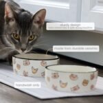 2-Cup Ceramic Cat Bowl – Cute Cat Face Water & Food Dish, Wide Shallow Whisker-Friendly Design for Kittens & Small/Medium Cats, Heavy Non-Slip Pet Feeding Bowl - Image 2