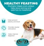 Fun Feeder Slo Bowl – Medium 2‑Cup Capacity, Slow Feeding, Small to Medium Dogs & Cats, Non-Slip, Turquoise, Drop Pattern - Image 2